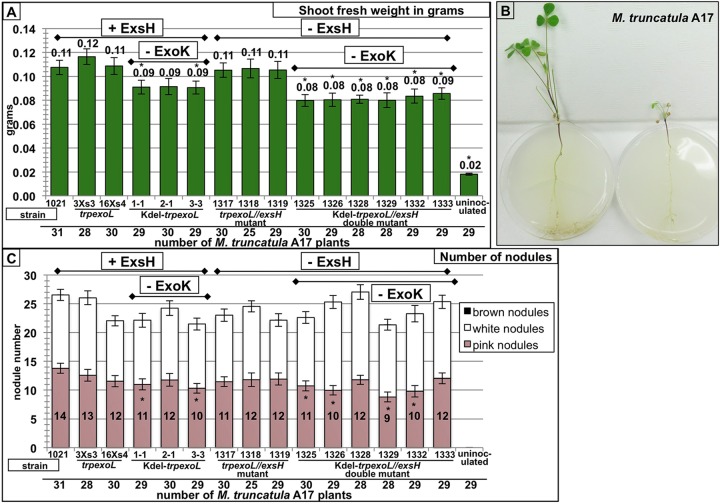 FIG 3 