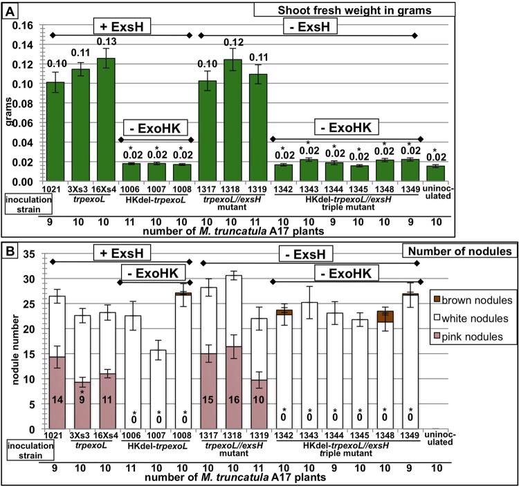 FIG 6 