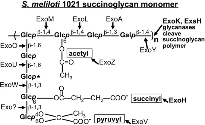 FIG 1 