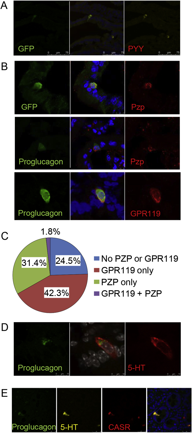 Figure 4