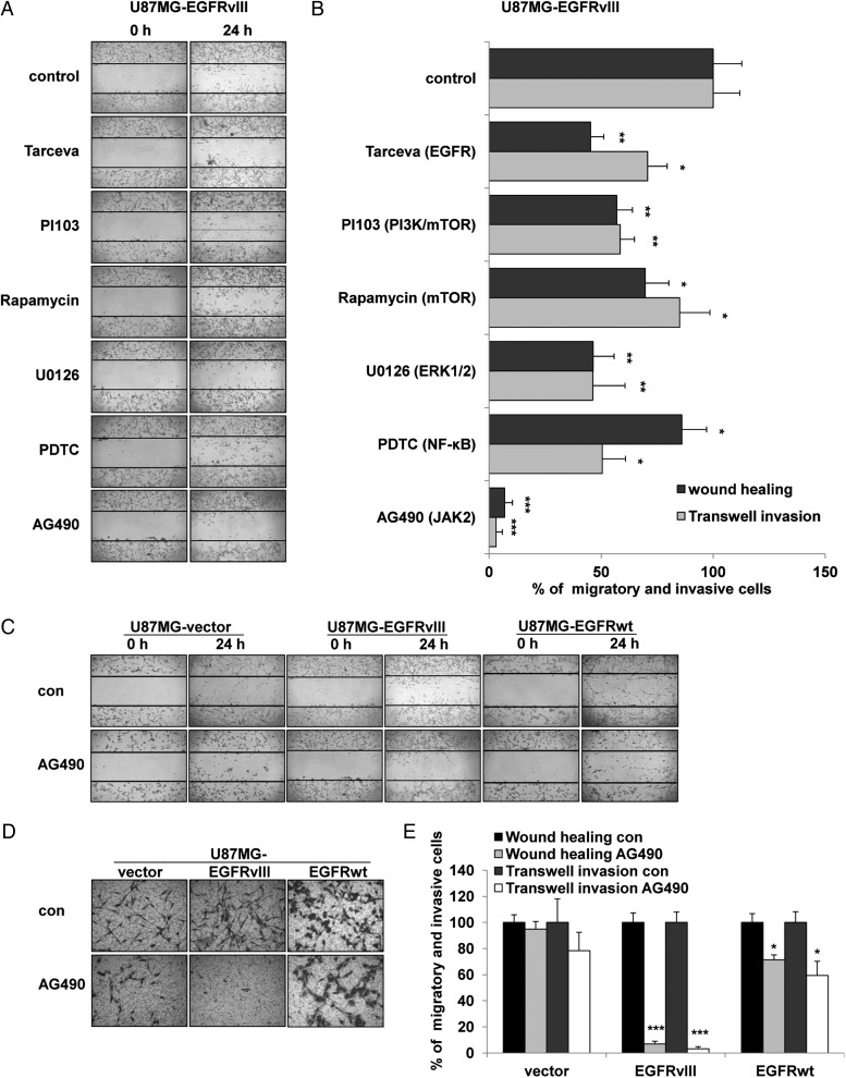 Fig. 2.