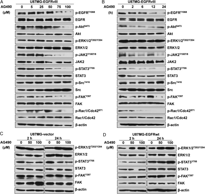 Fig. 3.