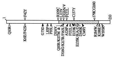 FIG. 7