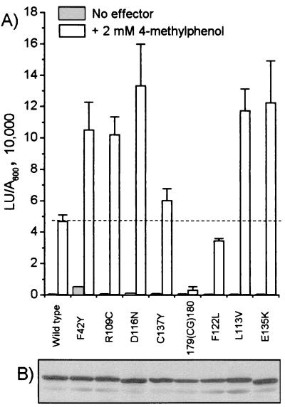 FIG. 6