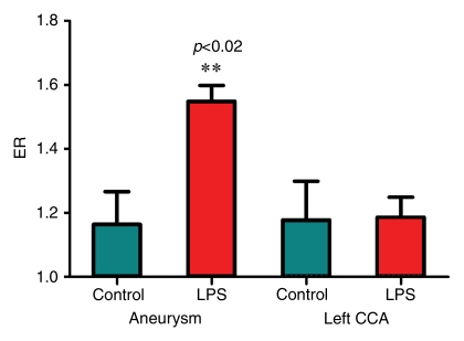 Figure 4e: