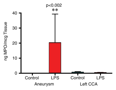 Figure 2g: