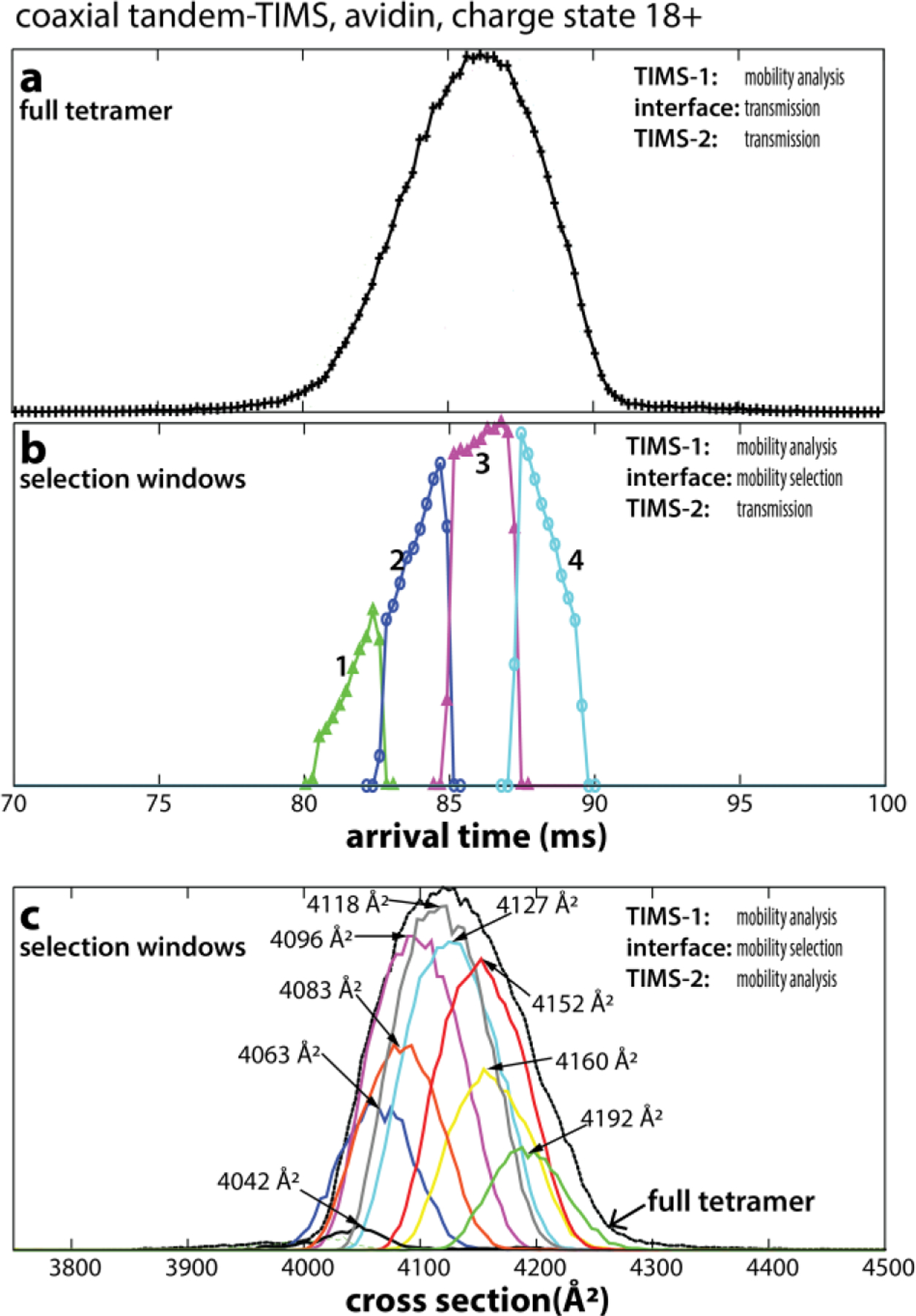 Fig. 10.