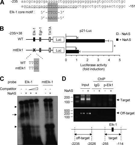 FIGURE 4.