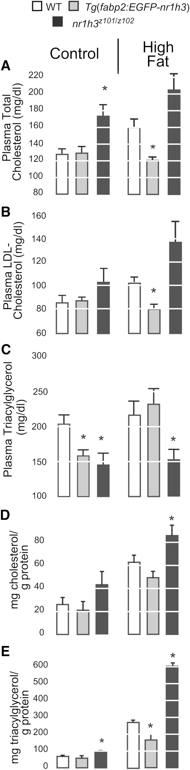 Fig. 7.