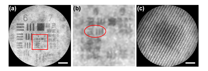 Fig. 7