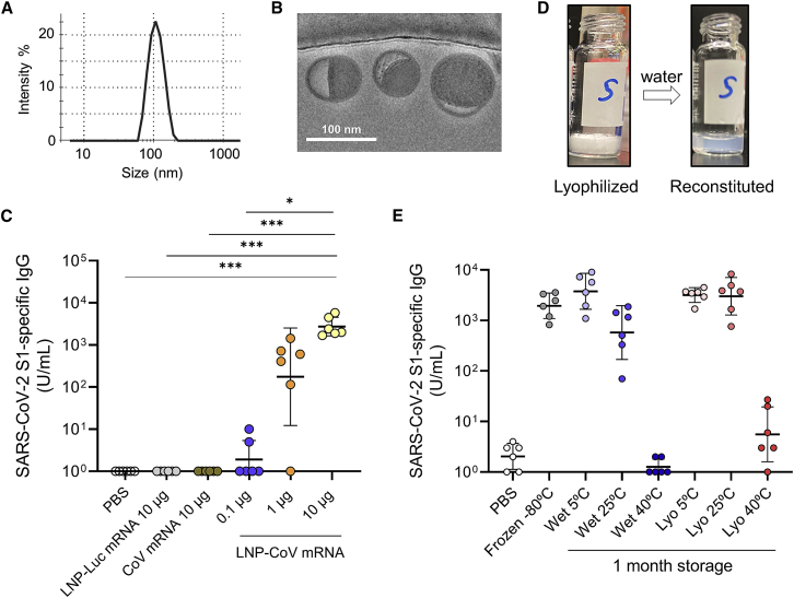 Figure 2