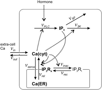 FIGURE 1