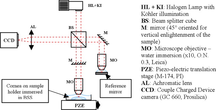 Fig. 2