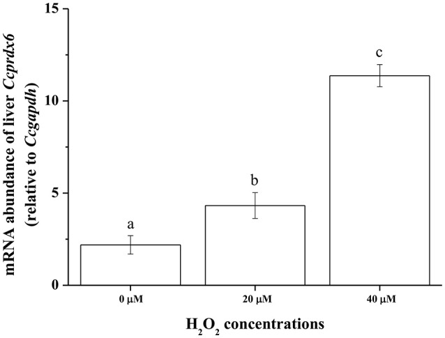 Figure 10