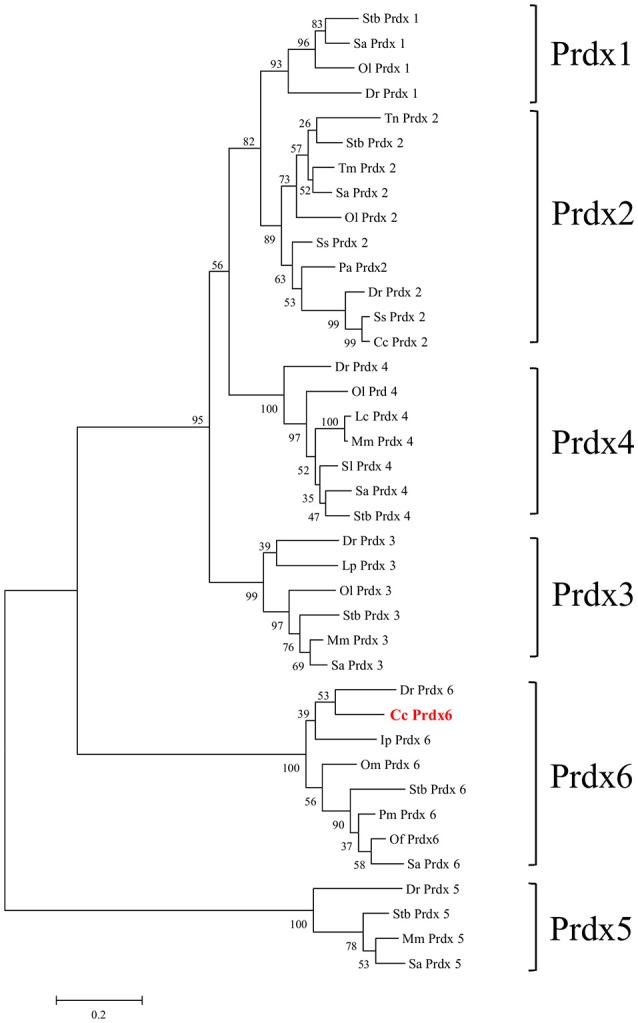 Figure 2