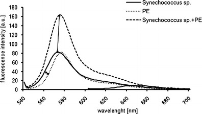 Fig. 8