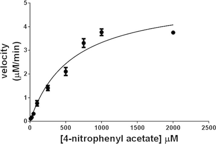 Fig. 8