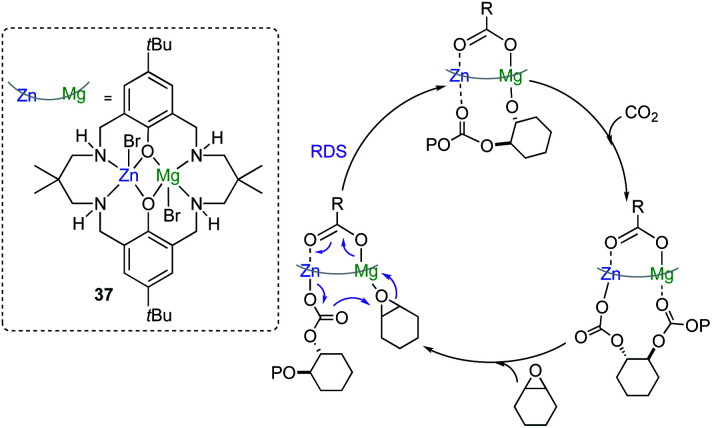 Fig. 10