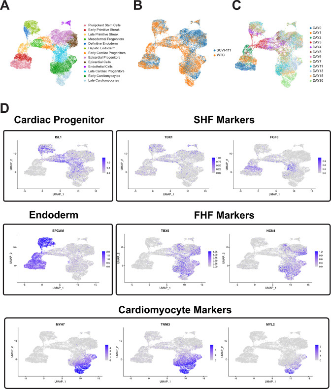 Figure 4—figure supplement 6.