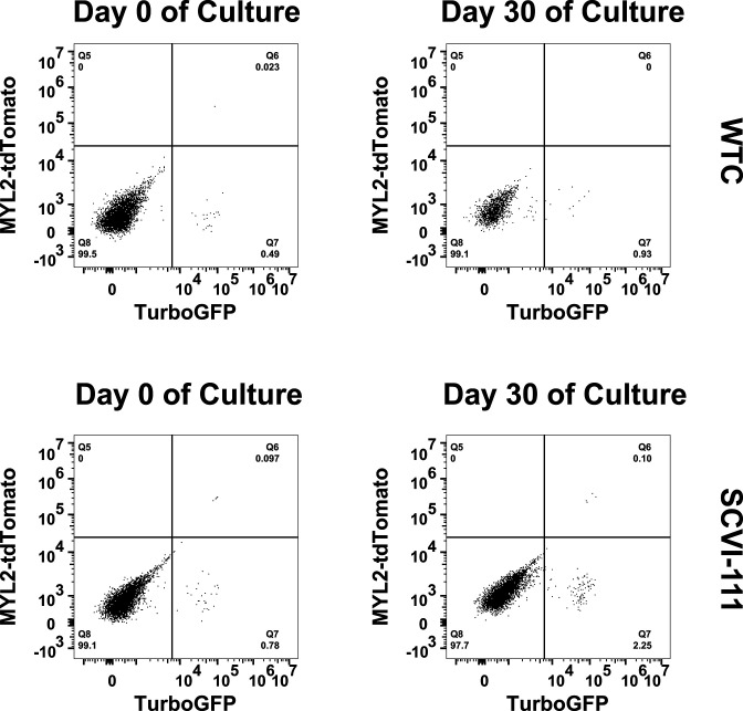 Figure 1—figure supplement 1.