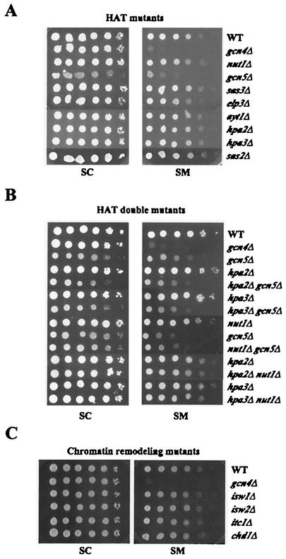 FIG. 6.