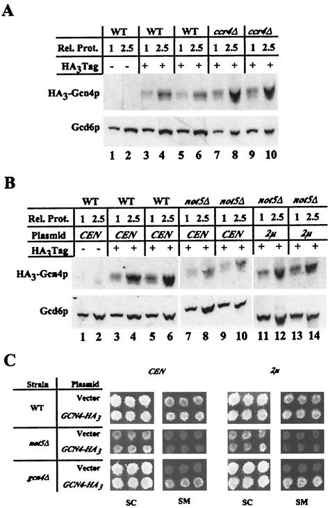 FIG. 5.