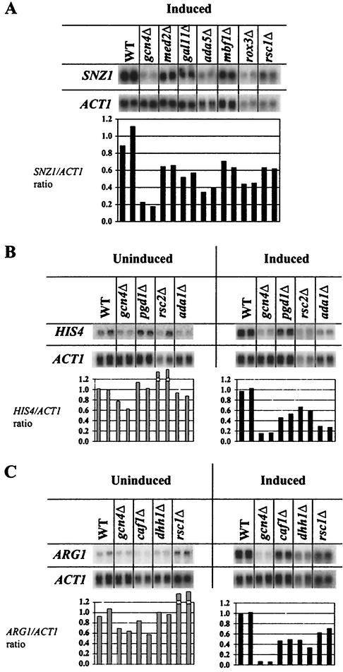 FIG. 4.