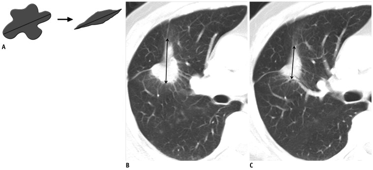 Fig. 12