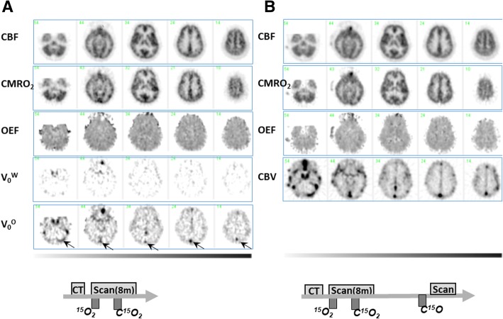 Fig. 9