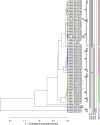 Fig. 3