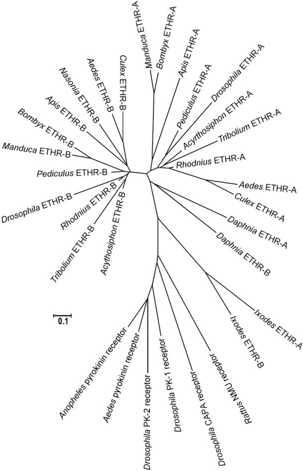 Fig. 9