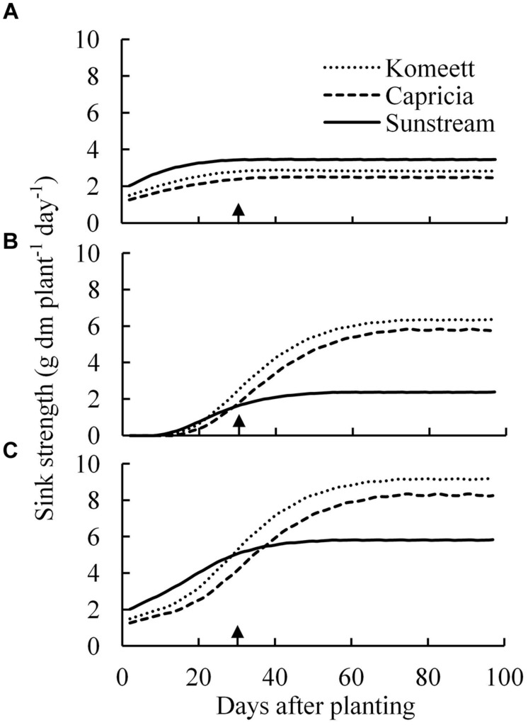 FIGURE 6