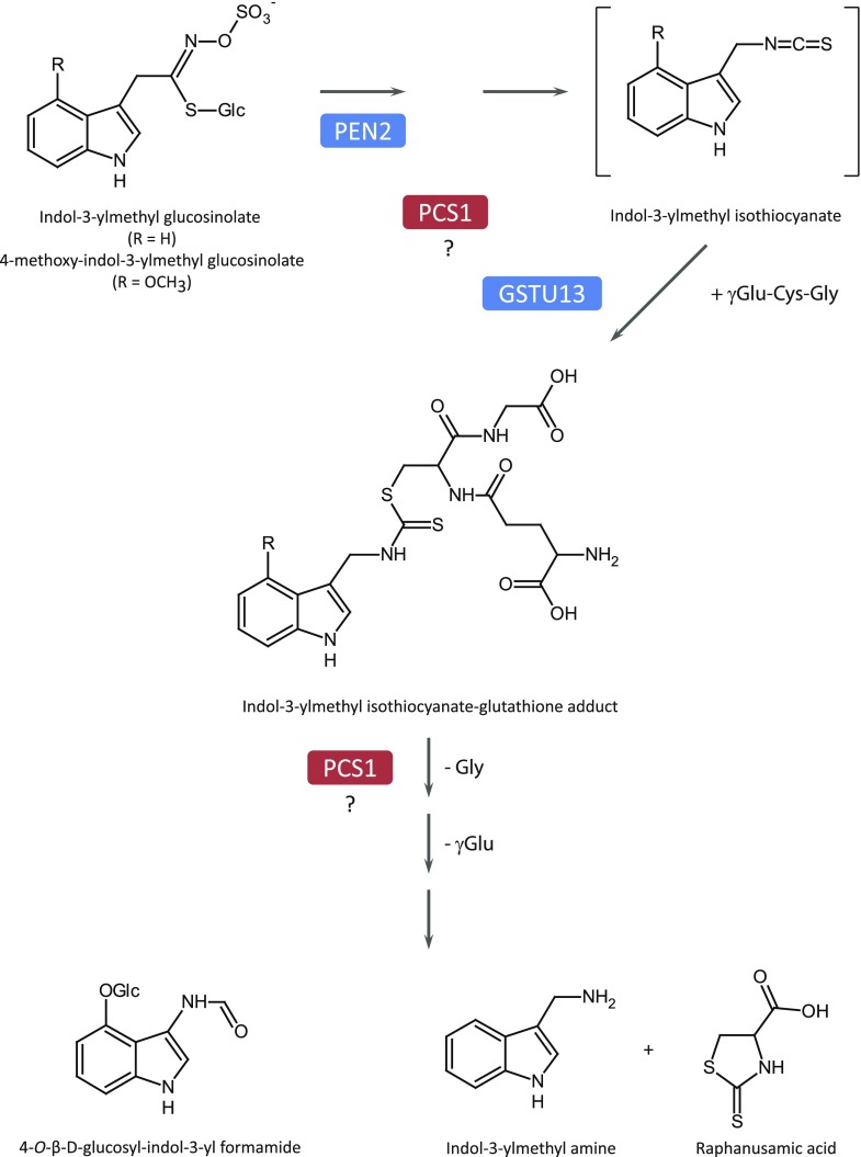 Figure 5.