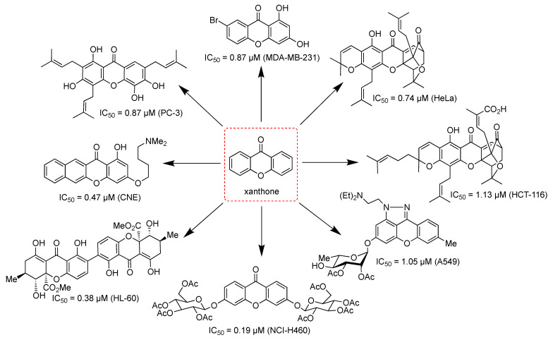 Figure 12