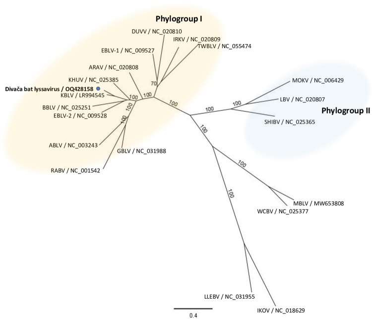 Fig 1