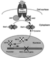 FIG. 7