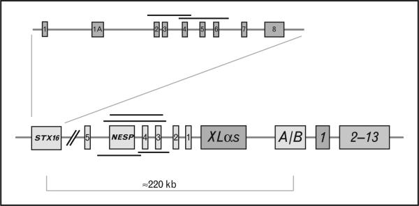 FIGURE 1