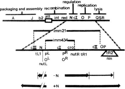 FIG. 5.