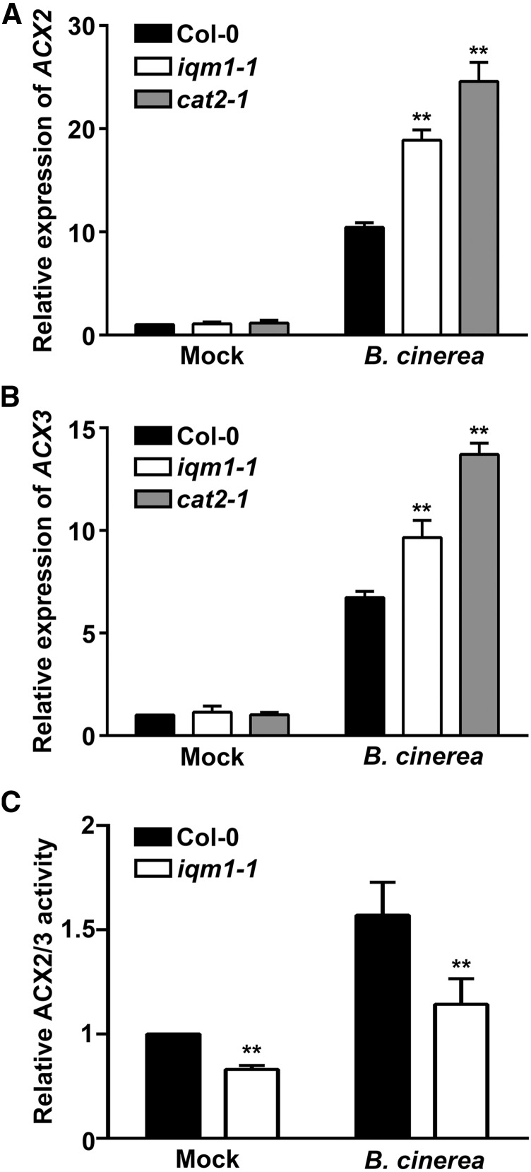 Figure 6.