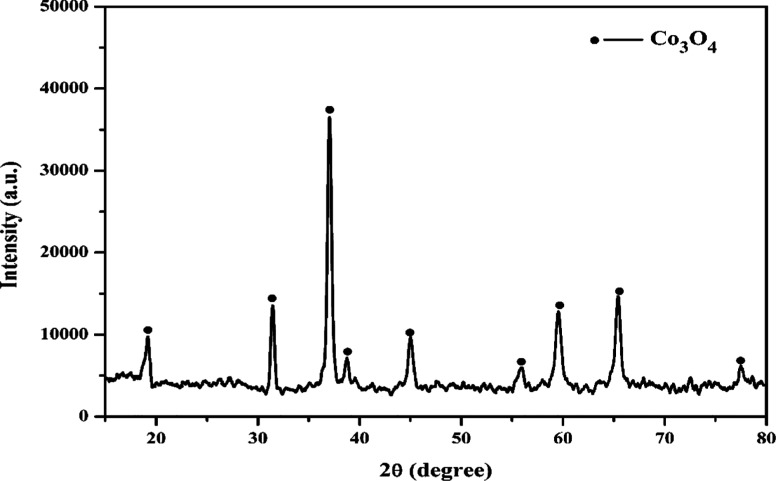 Figure 10