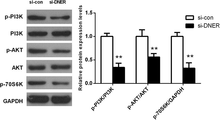 FIG. 7.