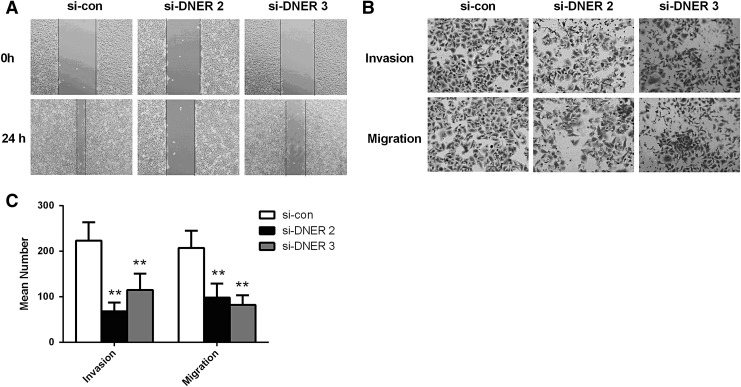 FIG. 6.