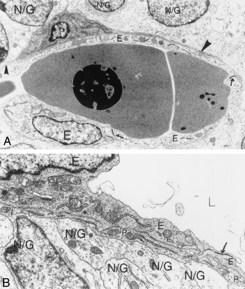 FIG. 5.