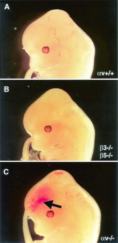 FIG. 9.