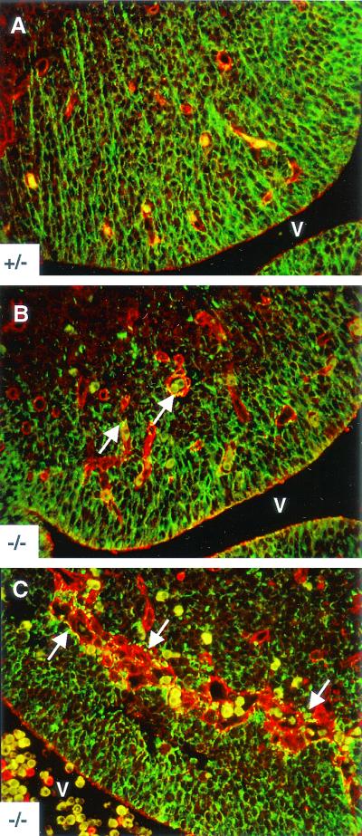 FIG. 8.