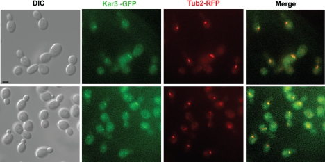 FIG. 7.