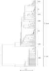 FIG. 2.