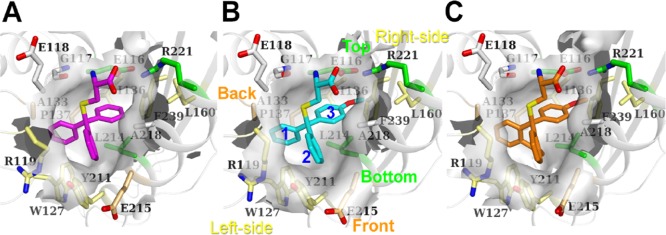 Figure 4