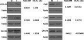 Fig 5