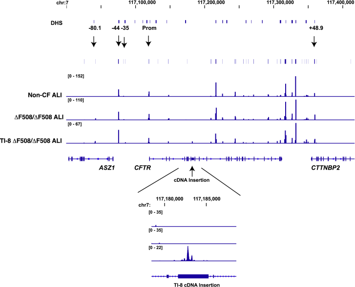 Figure 4